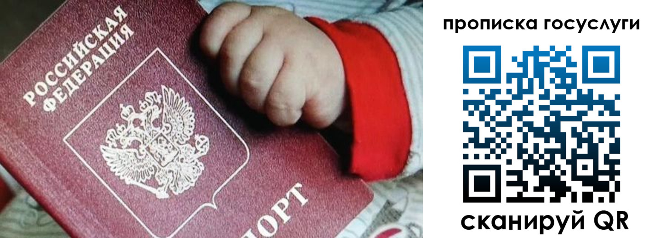 прописка штамп в Сланцах